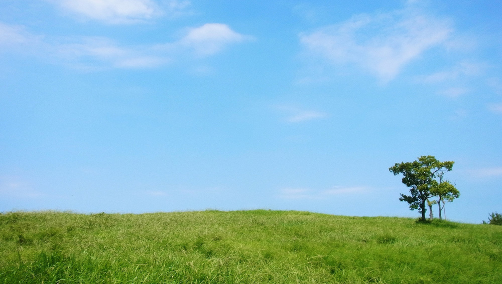 �����֥ԥ�ݥ�.jp